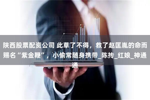 陕西股票配资公司 此草了不得，救了赵匡胤的命而赐名“紫金鞭”，小偷常随身携带_陈抟_红娘_神通